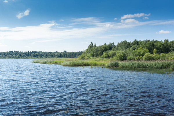 The shore of Lake Ladoga