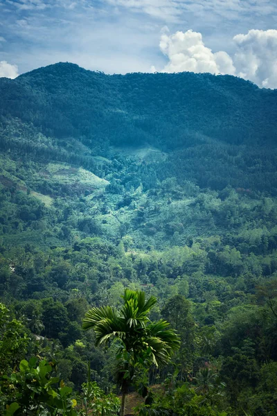 Şafak Sri Lanka dağlarında