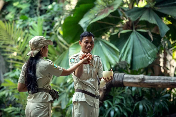 Bali, Indonesia - October 22, 2018: show in Bali Safari and Marine park