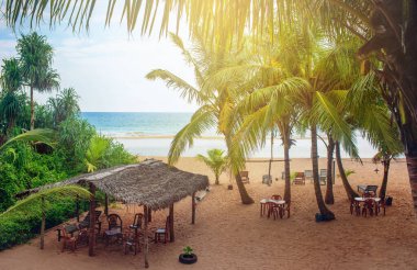 Bentota, Sri Lanka 'daki yazlık kafe.