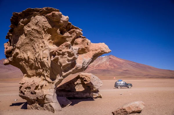 지프 Arbol 드 피에 드 라 Uyuni 근처에서 — 스톡 사진