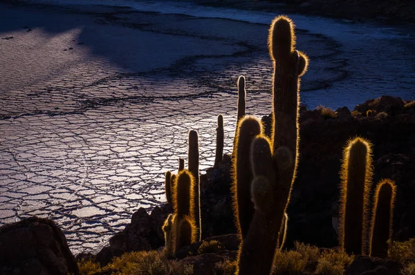 이 슬 라 Incahuasi, Uyuni, 볼리비아에서에서 보기 — 스톡 사진