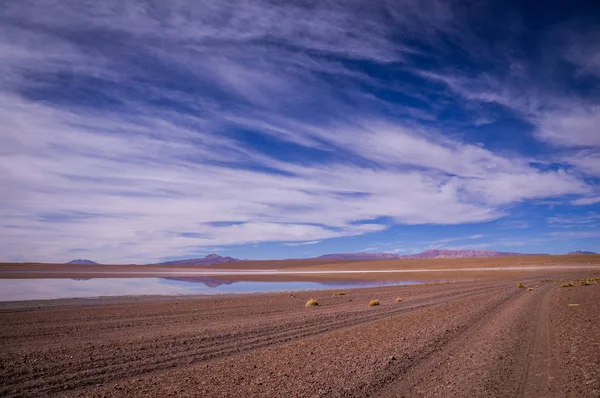 볼리비아 altiplano에 반사 — 스톡 사진