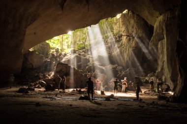 Taman Negara yağmur ormanı mağarası, Malezya