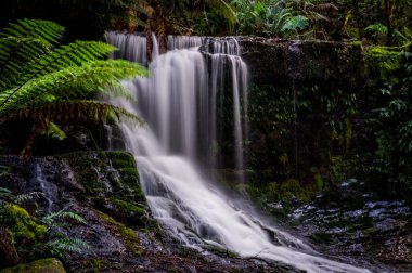Horseshoe Falls, Mt. alan Milli Parkı, Tazmanya, Avustralya