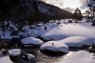 Görünümü, karlı Mt. alan milli parkta kışın Tasmania, Avustralya