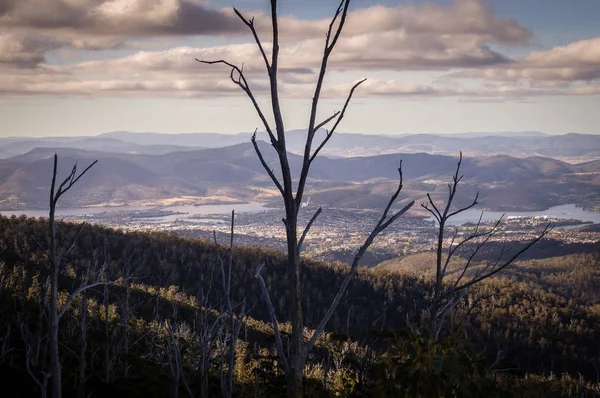 View from Mount Wellington overlooking Hobart, Tasmania, Australia — Stock Photo, Image