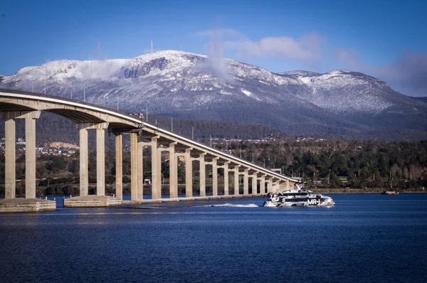 MT Wellington ve Tasman Köprüsü manzaralı Rose yuvasından, Hobart, Tazmanya, Avustralya