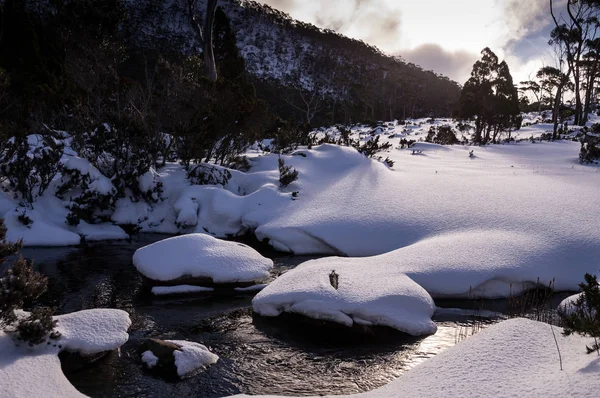 View of snowy Mt. Field National Park in winter in Tasmania, Australia — Stock Photo, Image