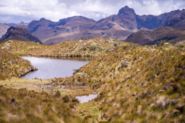 Manzara Cajas Milli Parkı'nda, Cuenca, Ecuador