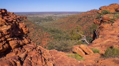 Kings Kanyon, Avustralya