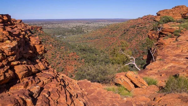 Kings Canyon, Australia — Stock Photo, Image