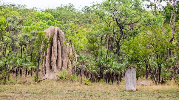 Large Termite Mound in Litchfield National Park, NT, Australia — Stock Photo, Image