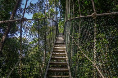gölgelik köprü taman negara Malezya içinde