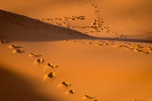 Empreintes de pas dans le sable, Sahara, Merzouga, Maroc — Photo