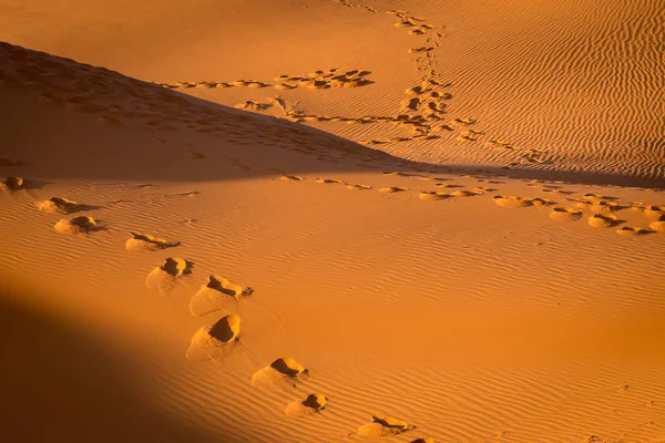 Pegadas na areia, Saara, Merzouga, Marrocos — Fotografia de Stock