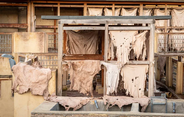 Drying Leather in Chouara Tannery, Fes, Morocco — Stockfoto