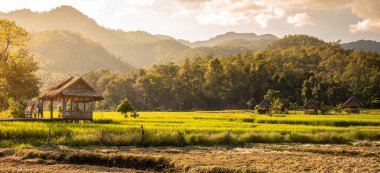 Bambu Köprüsünde kulübe, Pai, Tayland