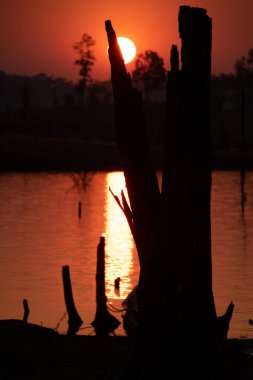 Ölü ağaçların üzerinde gün batımı, Nam Theun nehri, Thalang, Thakhek, Laos