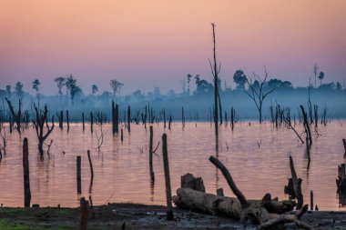 Kuru ağaçların üzerinde gün batımı, Nam Theun nehri, Thalang, Thakhek, Laos