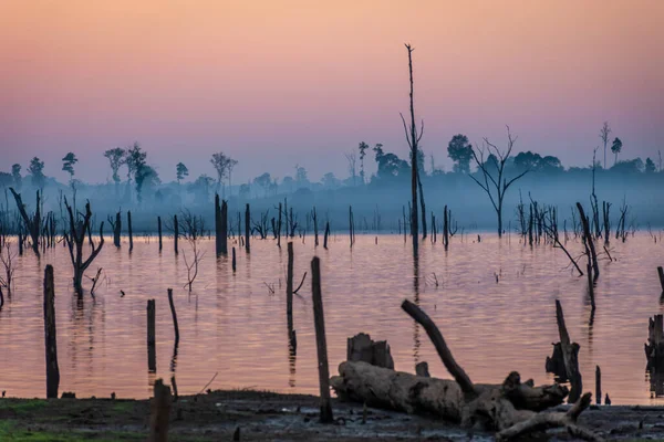 Zonsondergang boven droge bomen, Nam Theun rivier, Thalang, Thakhek, Laos Rechtenvrije Stockafbeeldingen