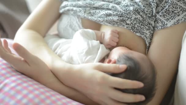 Borstvoeding moeder haar baby. — Stockvideo