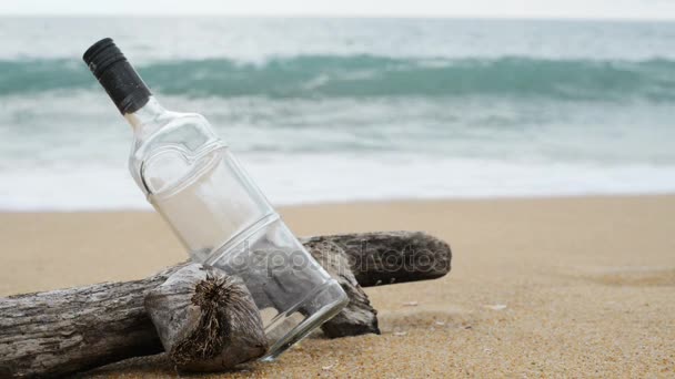 Troncos en la playa . — Vídeos de Stock