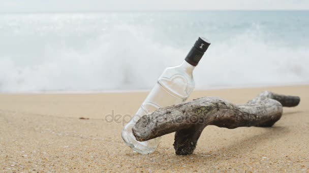 Madeira de tronco na praia . — Vídeo de Stock