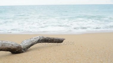 Günlük ahşap sahilde.