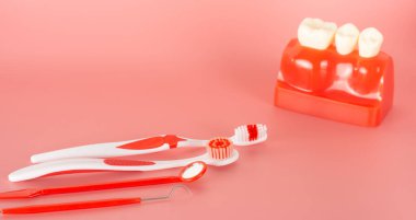 Açıklamada kullanılacak implantlar ve diş aletlerine örnek hastalara tedavi süreci hakkında bilgi verilsin.