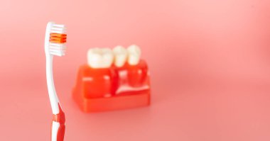 Açıklamada kullanılacak implantlar ve diş aletlerine örnek hastalara tedavi süreci hakkında bilgi verilsin.