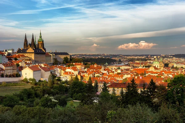 Prága, Cseh Köztársaság-skyline panoráma. Szent Vitus-székesegyház régi város vörös tetők felett — Stock Fotó