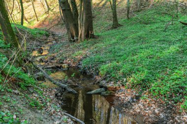 Akan nehir boyunca orman kesme ağaç ve yeşil ile pantolon
