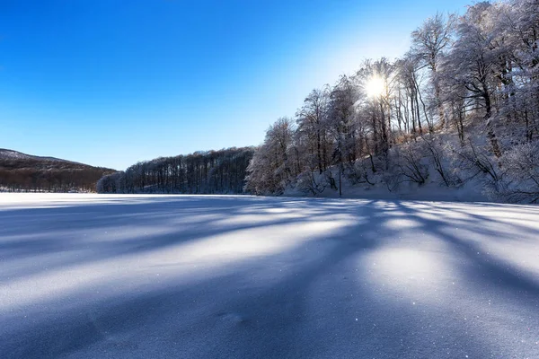 Frozen lake covered wth snow on a sunny day — Stock Photo, Image