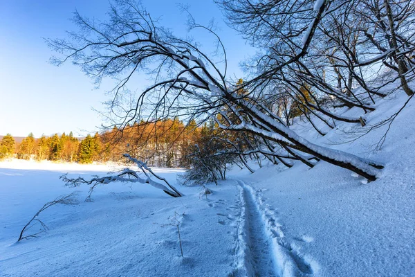 Plitvice lakes during winter, Croatia, Europe — Stock Photo, Image