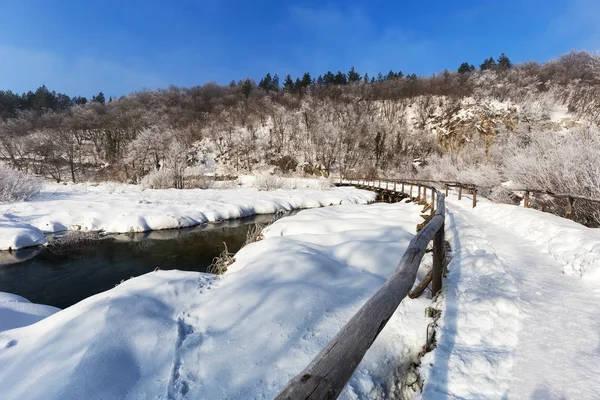 Winter path covered by snow thru plitvice lake, Croatia — 스톡 사진