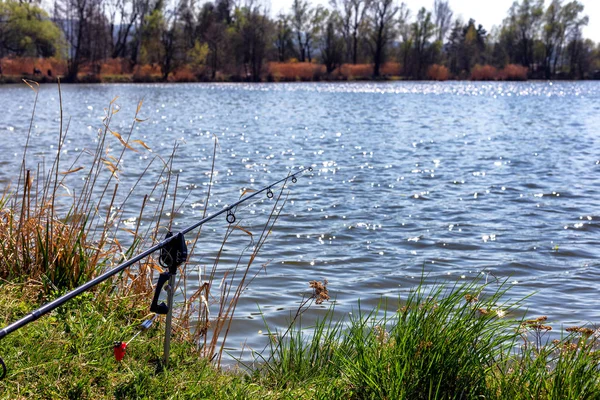 Vara de pesca de carpa e alarme de mordida, tempo de sprin — Fotografia de Stock