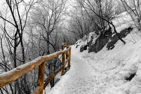 Ścieżka zimowa pokryta śniegiem przez jezioro plitvice, Chorwacja Zdjęcie Stockowe