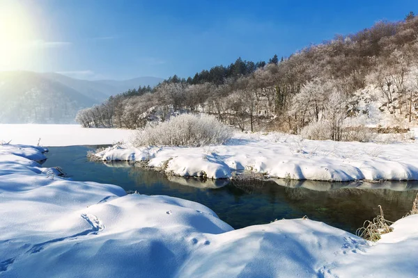 Słońce i duży śnieg na Plitwicach zimą, Chorwacja, Europ Zdjęcie Stockowe