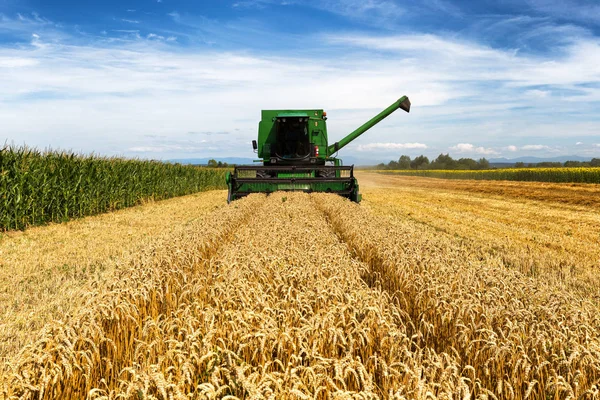 Harvesting wheat harvester on a sunny summer day — Stock Photo, Image