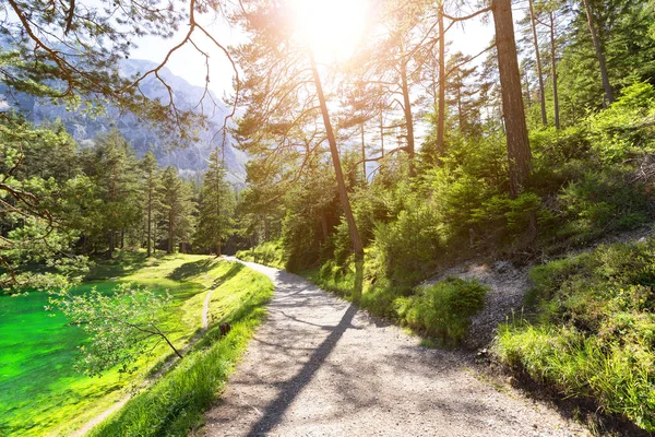 Weg in der Nähe des grünen Sees mit kristallklarem Wasser — Stockfoto