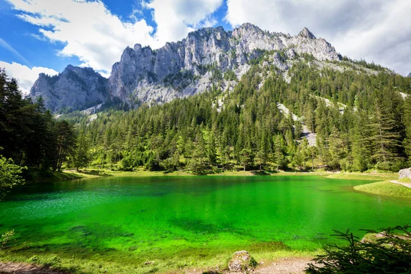 Gruner See - Hermoso lago verde con agua cristalina — Foto de Stock