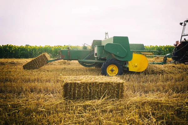 Tractor making straw bales. Agriculture concept — Stock Photo, Image