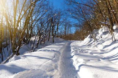 Plitvice Gölleri kış, Hırvatistan, Europe sırasında kar yolda
