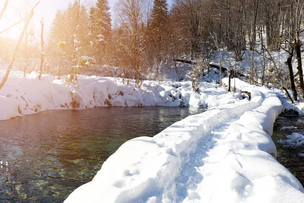 Snow path at Plitvice lakes during winter, Croatia, Europe — Stock Photo, Image