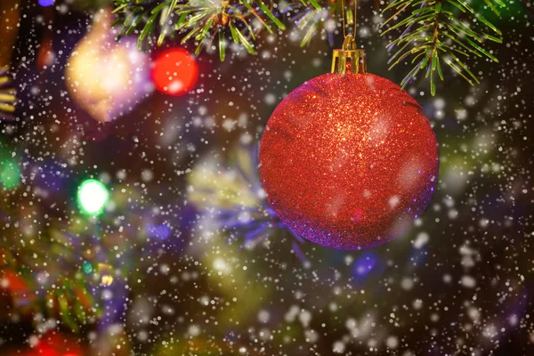 Närbild av röd grannlåt hängande från en dekorerad julgran. C — Stockfoto