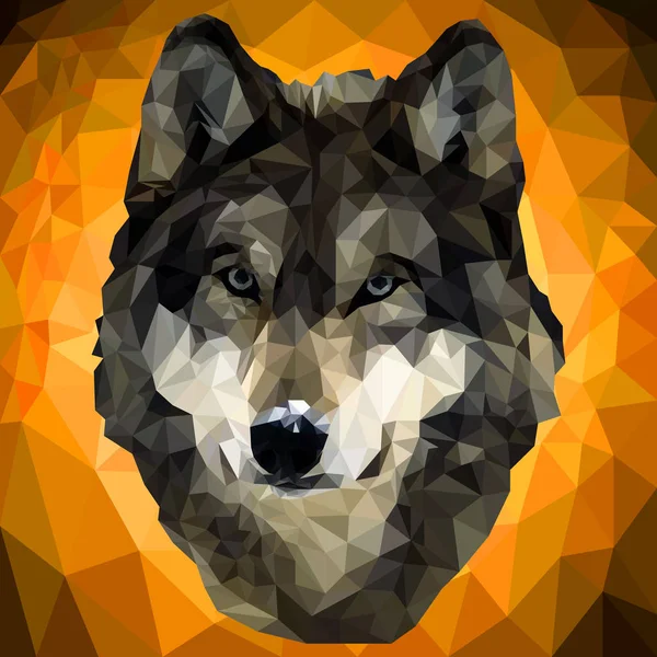Wolf in low poly style — Stock Vector