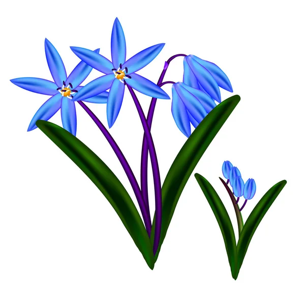 美しいブルーの Snowdrops の花束ベクトル図オブジェクト ロイヤリティフリーストックベクター