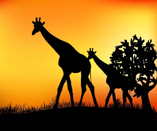 Due Giraffe Nella Savana Vicino Albero Vettoriale Illustrazione — Vettoriale Stock