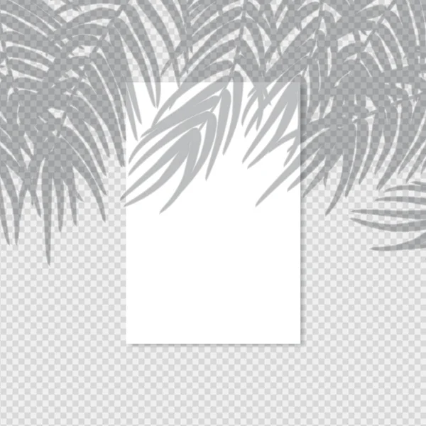 Effet d'ombre transparent — Image vectorielle
